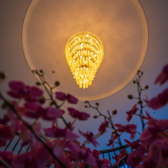 Lễ tân Grand Luxury Hotel